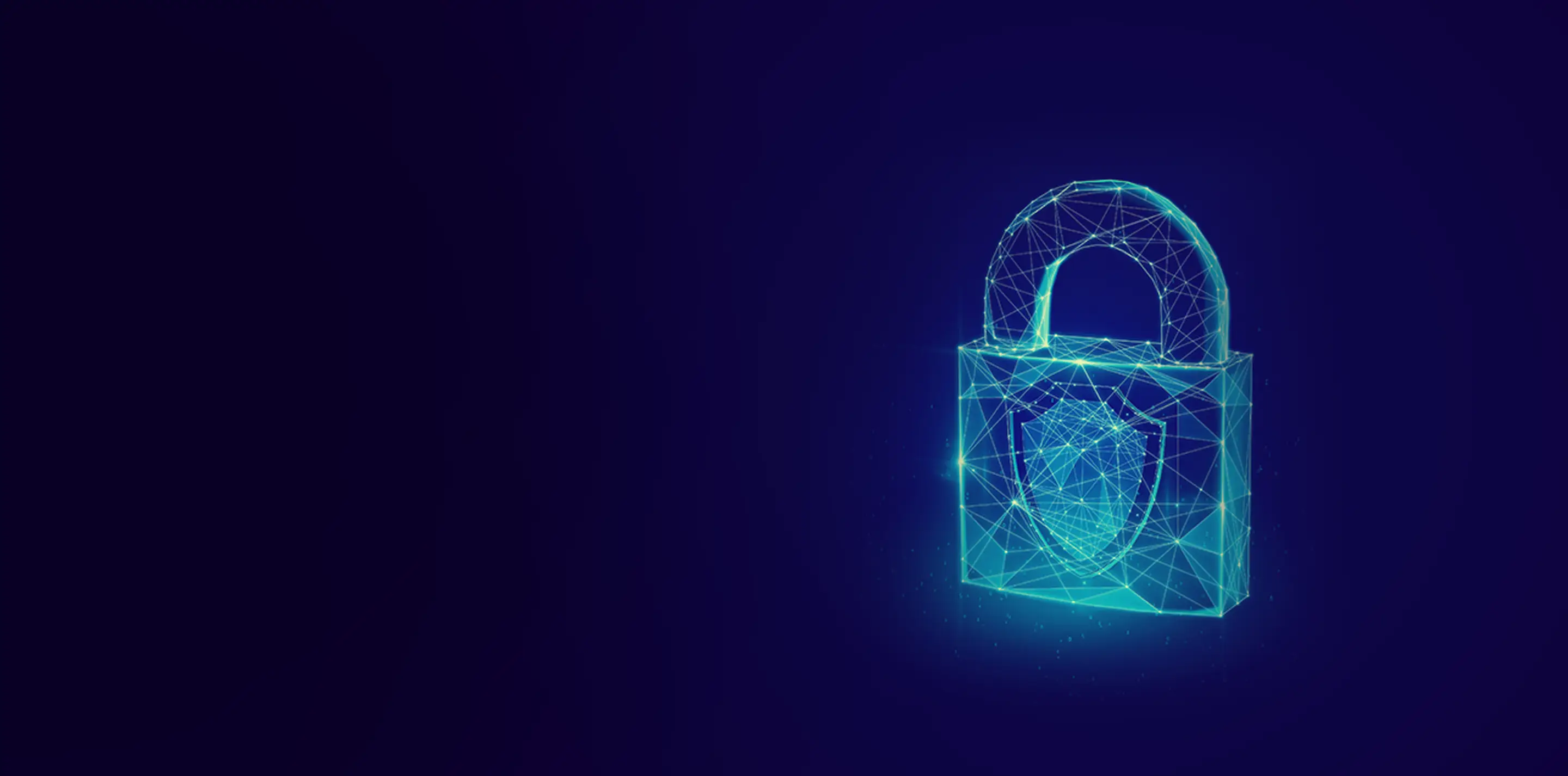 WebcuraShield